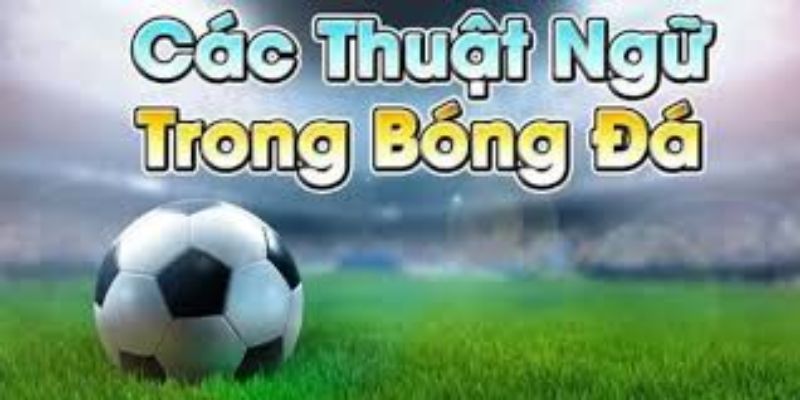 Thuật ngữ cá độ bóng đá cơ bản